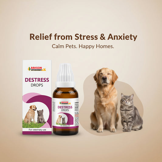Destress Drops – Relieve Anxiety, Fever & Stress in Dogs & Cats Naturally