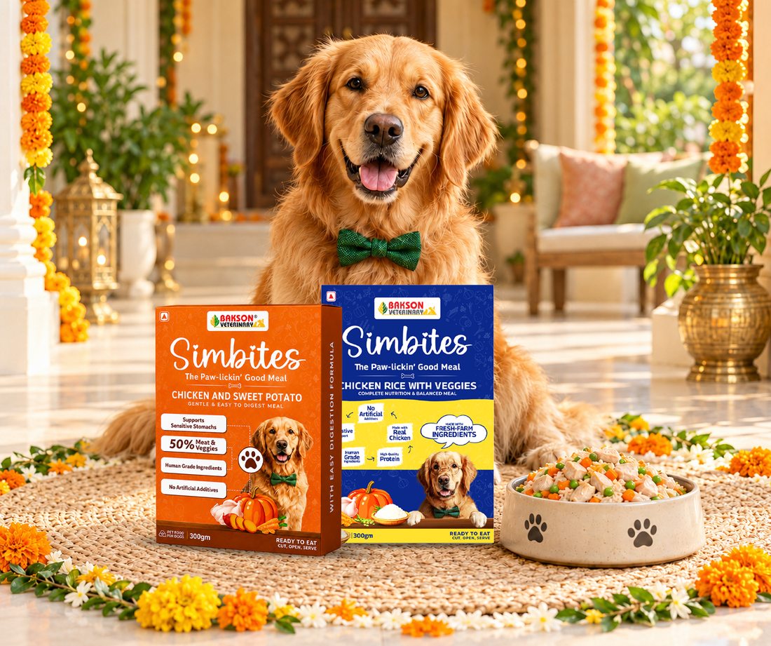 A Festive Bowl for Your Dog: Diwali Feeding Tips with Simbites
