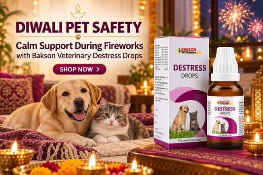 Diwali Pet Safety Guide for Dogs and Cats