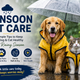 Monsoon Pet Care for Dogs & Cats: 10 Simple Tips to Keep Your Pet Healthy This Rainy Season