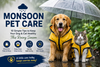 Monsoon Pet Care for Dogs & Cats: 10 Simple Tips to Keep Your Pet Healthy This Rainy Season