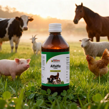 Alfalfa Tonic