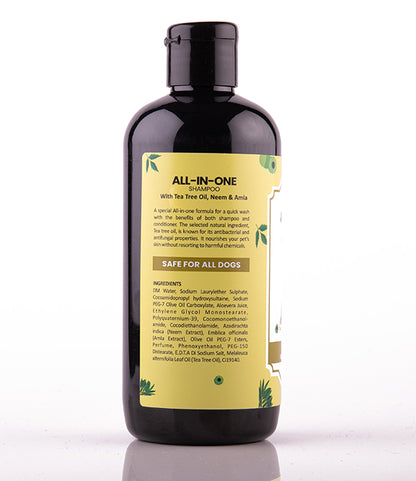 All-In-One Shampoo