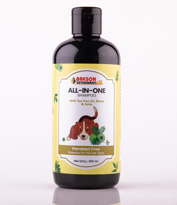 All-In-One Shampoo