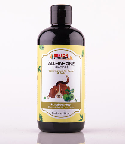 All-In-One Shampoo