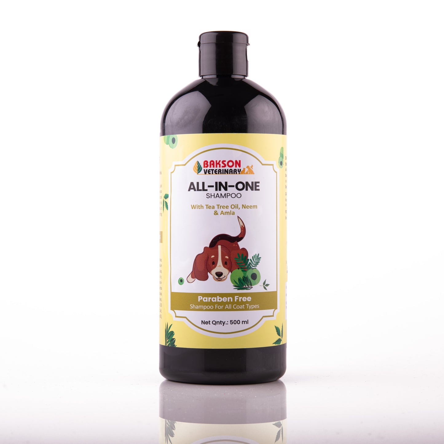 All-In-One Shampoo
