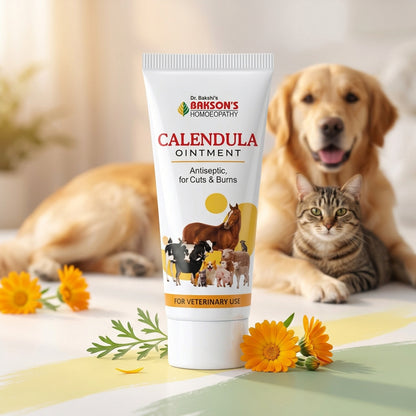 Calendula Ointment
