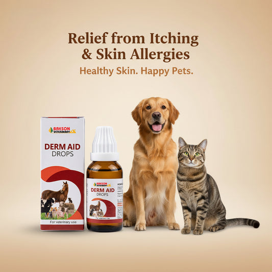 Derm Aid Drops - For Itching, Skin Allergies & Hair Fall in Pets