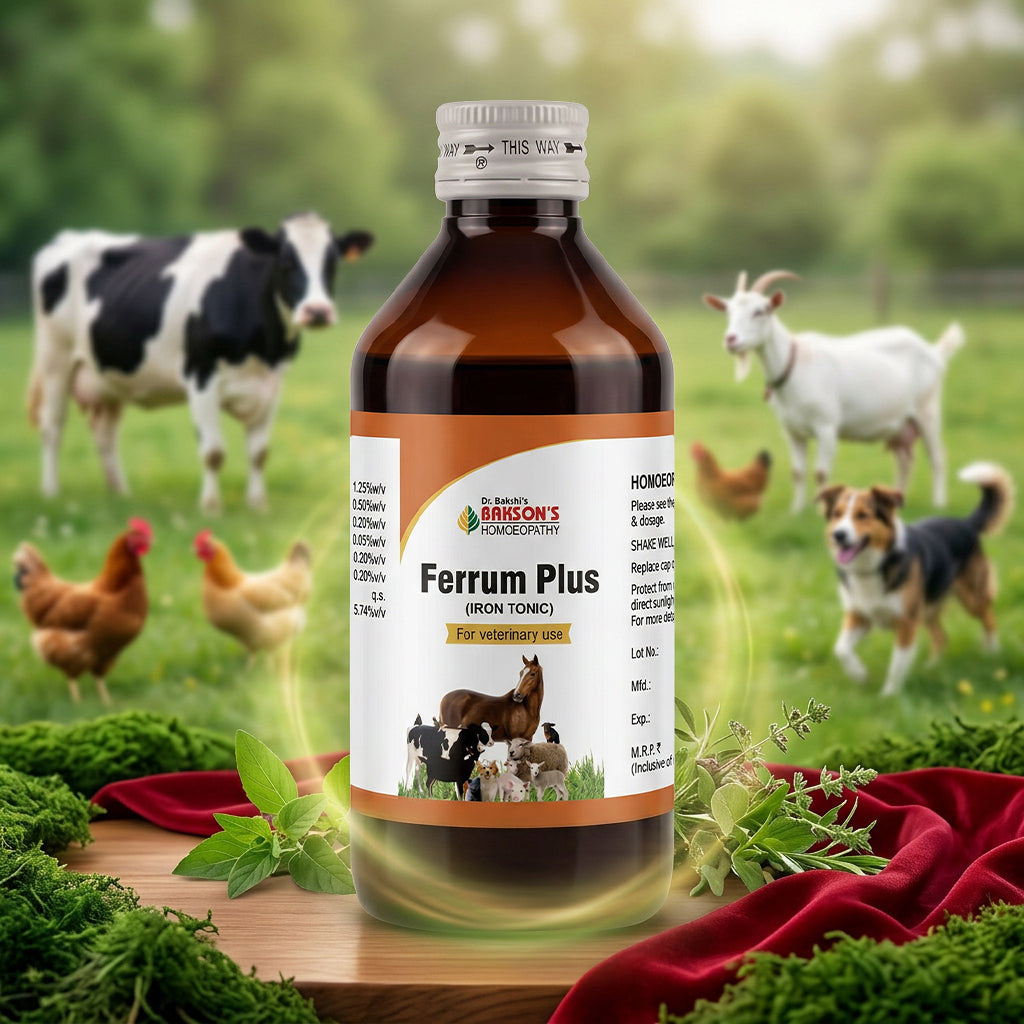 Ferrum Plus Syrup