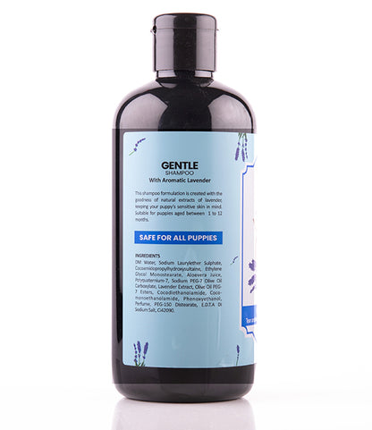 Gentle Shampoo