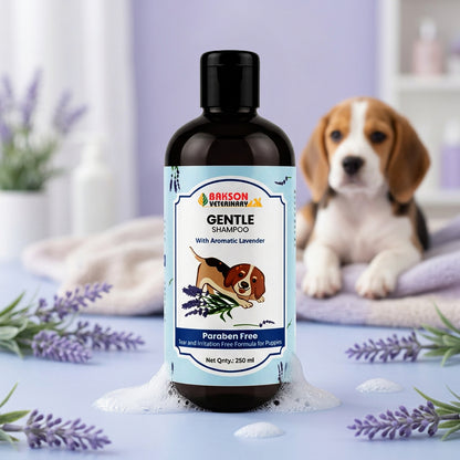 Gentle Shampoo