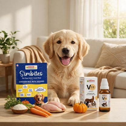Joint Care Combo for Dogs | Simbites Food + V11 Drops