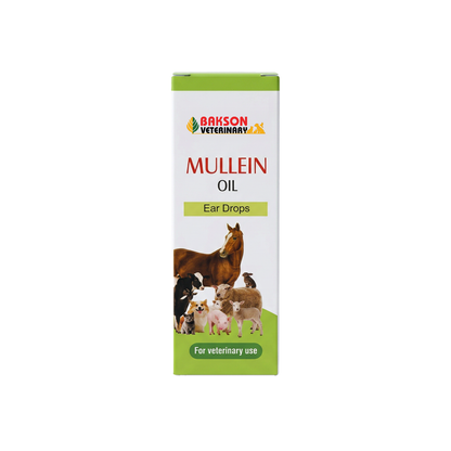Mullein Oil