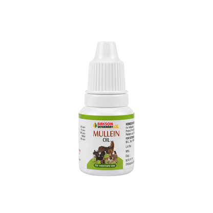 Mullein Oil