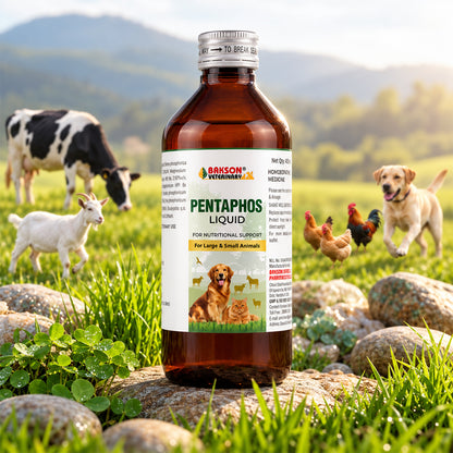 PentaPhos Liquid For All Animals – Weakness, Stress, Poor Growth & Nutritional Support
