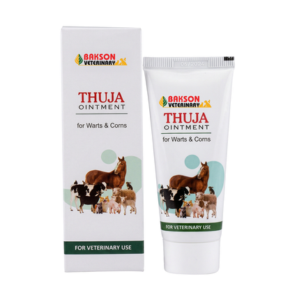 Thuja Ointment