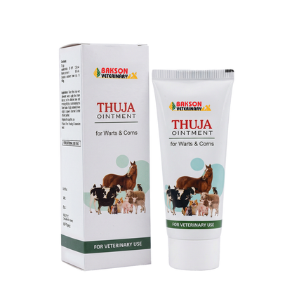 Thuja Ointment