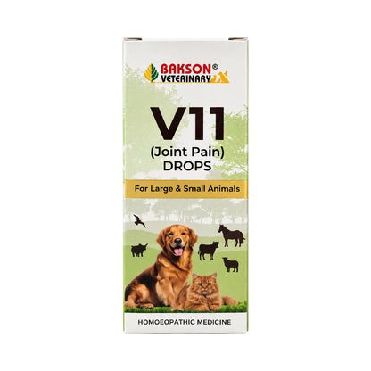 V11 Drops for Dogs & Cats – Joint Mobility, Flexibility & Comfort Support