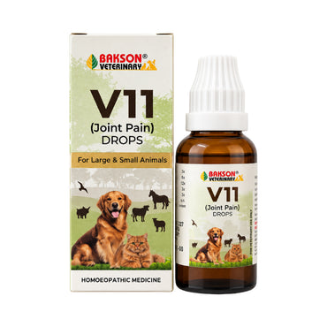 V11 Drops for Dogs & Cats – Joint Mobility, Flexibility & Comfort Support