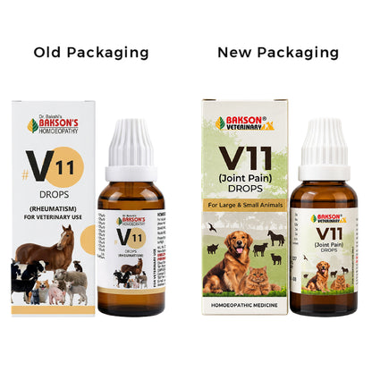 V11 Drops for Dogs & Cats – Joint Mobility, Flexibility & Comfort Support