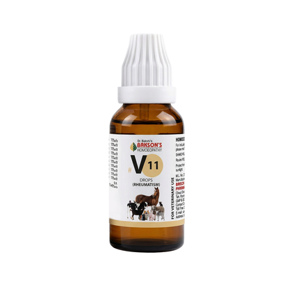 V11 Rheumatism Drops for Dogs & Cats – Joint Pain, Arthritis & Stiffness Relief