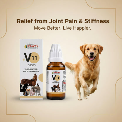 V11 Rheumatism Drops for Dogs & Cats – Joint Pain, Arthritis & Stiffness Relief