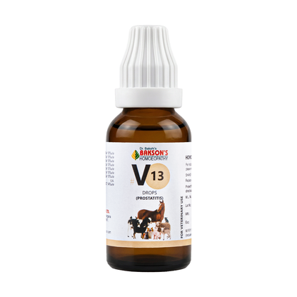 V13 Drops for Dogs – Urinary Comfort & General Wellness Support