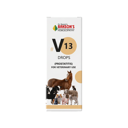 V13 Drops for Dogs – Urinary Comfort & General Wellness Support
