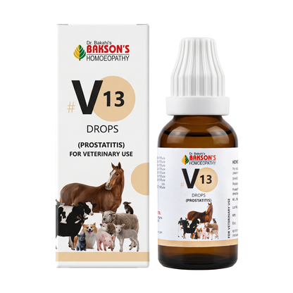 V13 Drops for Dogs – Urinary Comfort & General Wellness Support
