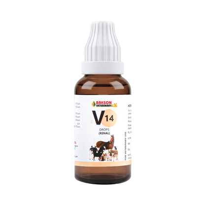V14 Renal Drops For Dogs & Cats – UTI, Painful Urination, Kidney Health & Urinary Support