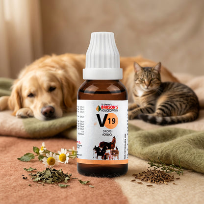 V19 Colic Drops For Dogs, Cats & Livestock – Colic Pain, Abdominal Cramps, Bloating & Digestive Support