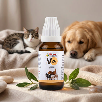 V26 Injury Drops For Dogs & Cats – Wounds, Sprains, Fractures, Bruises & Injury Recovery Support