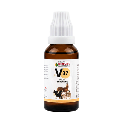 V37 Endocrine Drops For Dogs & Cats – Hormonal Imbalance, Thyroid Disorders, Metabolism & Endocrine Support