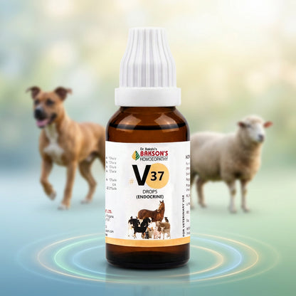 V37 Endocrine Drops For Dogs & Cats – Hormonal Imbalance, Thyroid Disorders, Metabolism & Endocrine Support
