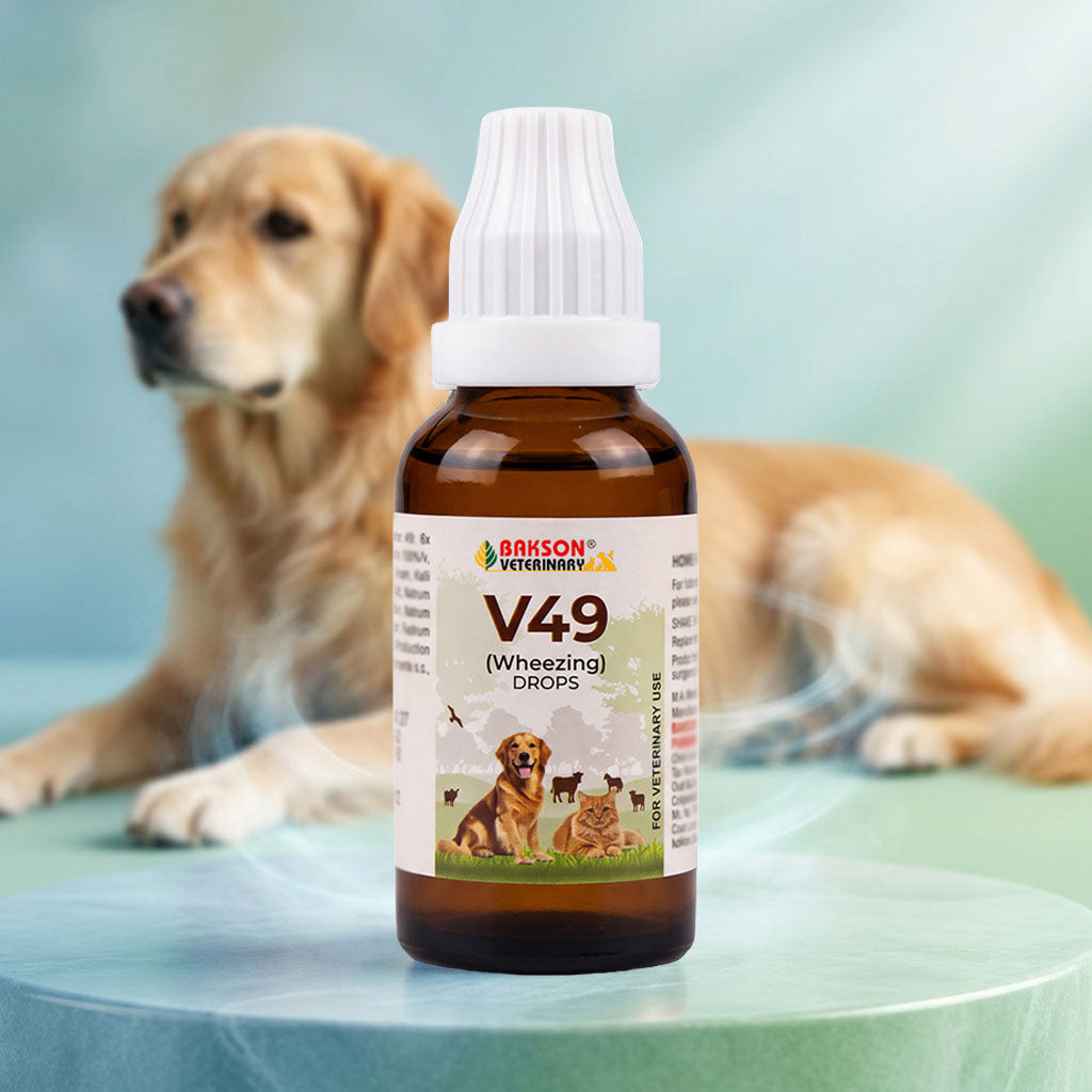 V49 Wheezing Drops For Dogs & Cats – Wheezing, Chest Congestion, Breathing Difficulty & Respiratory Support