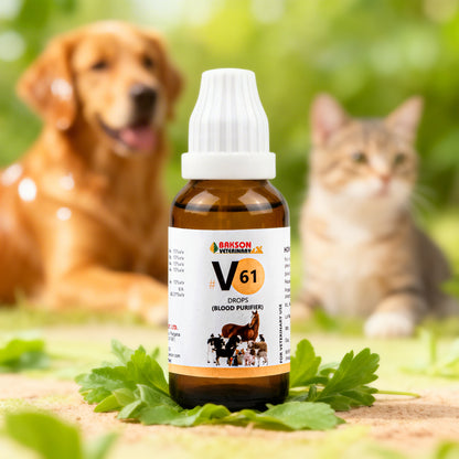 V61 Blood Purifier Drops