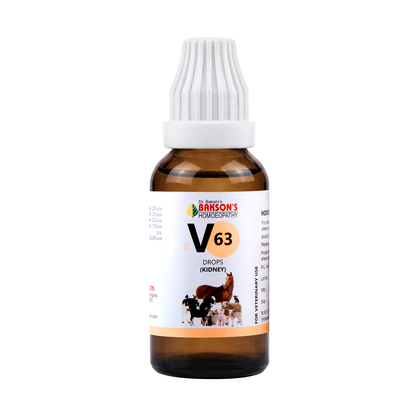 V63 Drops for Dogs & Cats – Urinary Comfort & Kidney Function Support
