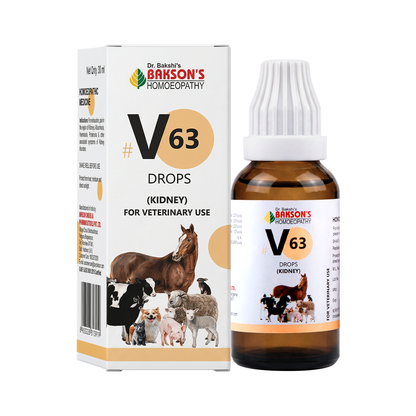 V63 Drops for Dogs & Cats – Urinary Comfort & Kidney Function Support