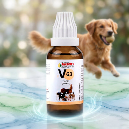 V63 Drops for Dogs & Cats – Urinary Comfort & Kidney Function Support