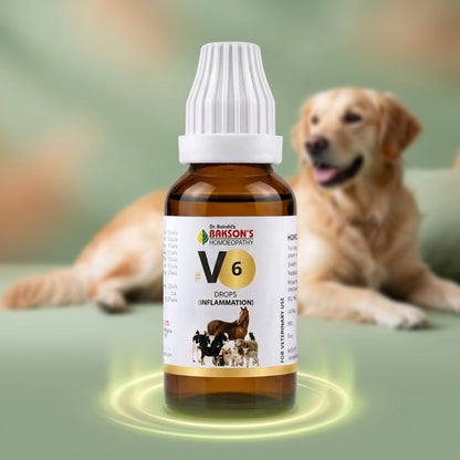 V6 Inflammation Drops