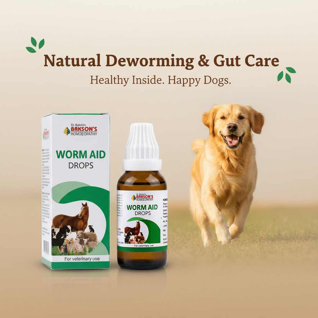 Worm Aid Drops for Pets – Natural Deworming & Intestinal Worm Relief